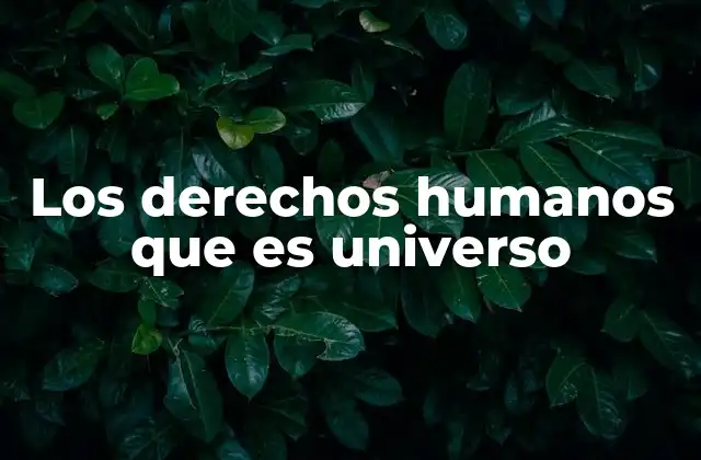 Los Derechos Humanos que es Universo