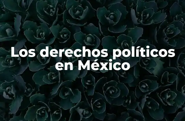 La importancia de la participación ciudadana en la democracia mexicana
