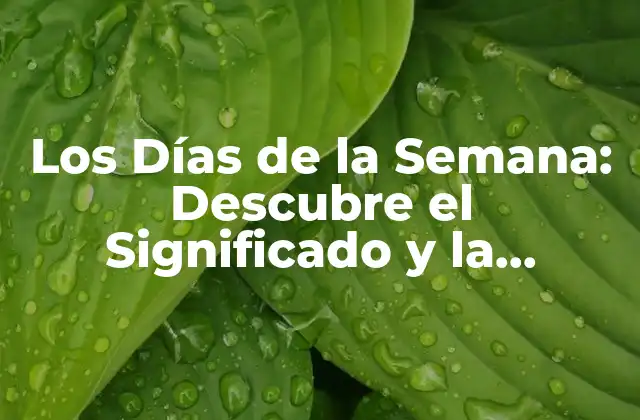 Los Días de la Semana: Descubre el Significado y la Importancia de Cada Uno