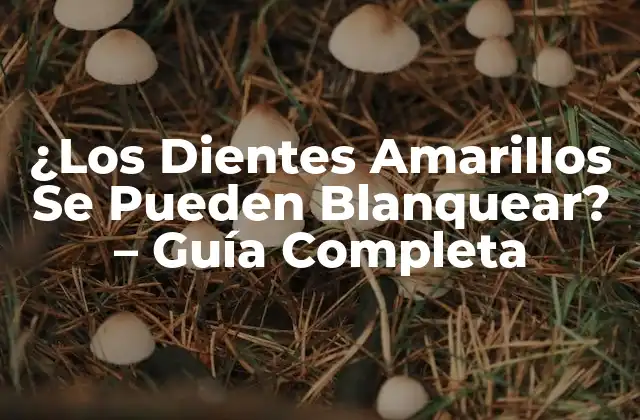 ¿los Dientes Amarillos Se Pueden Blanquear? – Guía Completa