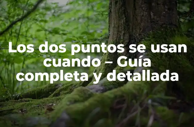 ¿Cuándo se usan los dos puntos en una lista?