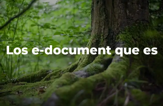 Los E-document que es