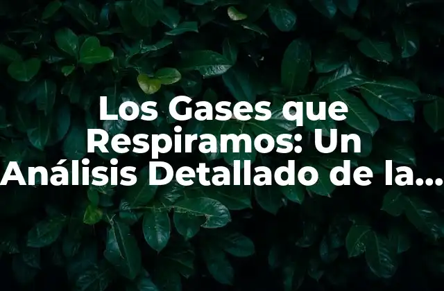 Los Gases que Respiramos: un Análisis Detallado de la Composición Del Aire