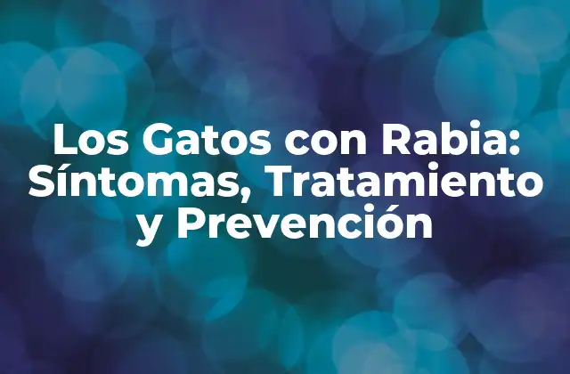 Cómo se Transmite la Rabia en Gatos