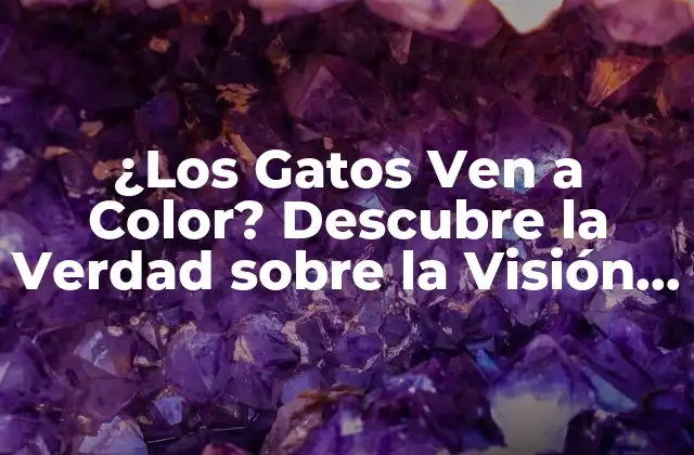 ¿los Gatos Ven a Color? Descubre la Verdad sobre la Visión Felina