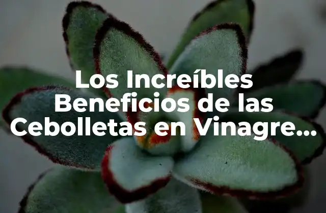 Los Increíbles Beneficios de las Cebolletas en Vinagre para Tu Salud y Cocina