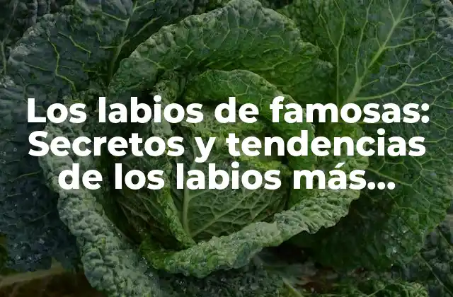 Los Labios de Famosas: Secretos y Tendencias de los Labios Más Famosos de Hollywood