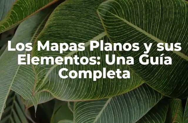 Los Mapas Planos y Sus Elementos: una Guía Completa