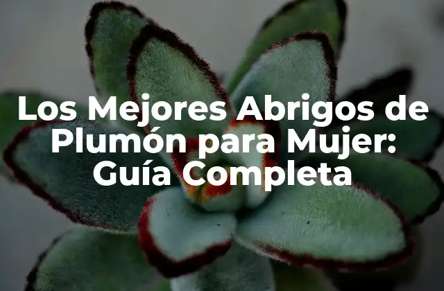 Los Mejores Abrigos de Plumón para Mujer: Guía Completa