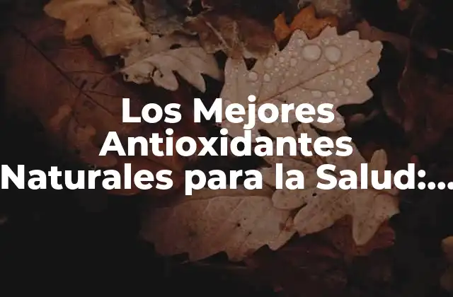 Los Mejores Antioxidantes Naturales para la Salud: Descubre los Beneficios