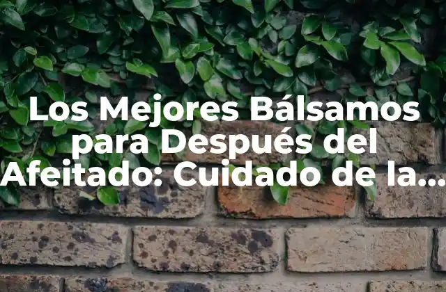 Los Mejores Bálsamos para Después Del Afeitado: Cuidado de la Piel