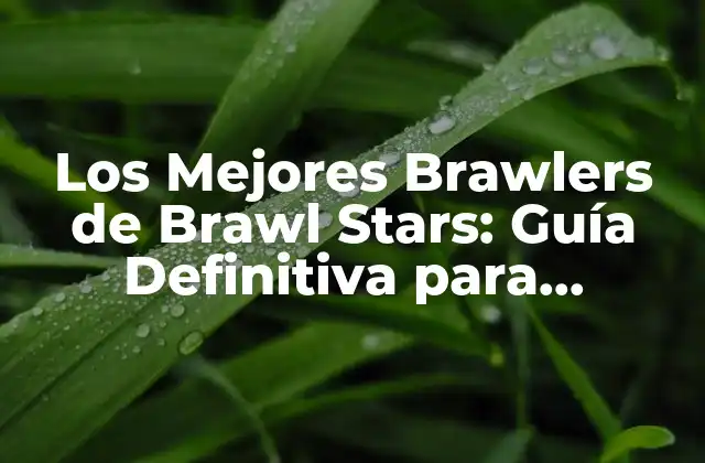 ¿Qué son los Brawlers en Brawl Stars?