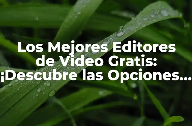 Los Mejores Editores de Video Gratis: ¡descubre las Opciones Más Populares!