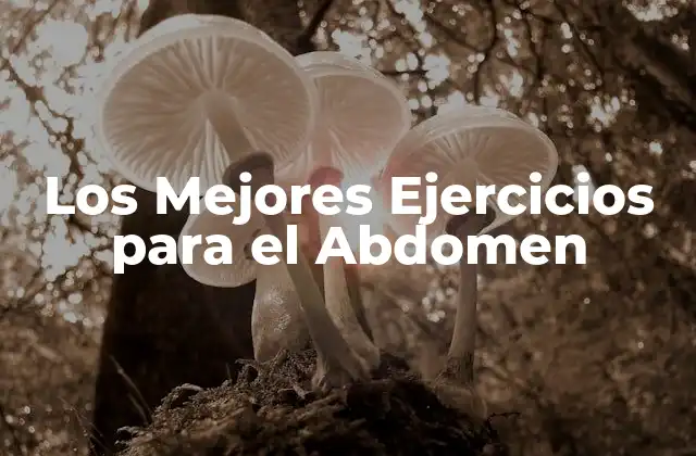Los Mejores Ejercicios para el Abdomen