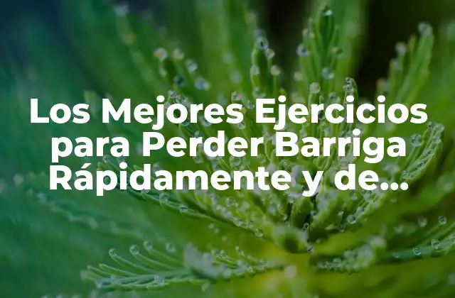 Los Mejores Ejercicios para Perder Barriga Rápidamente y de Forma Saludable