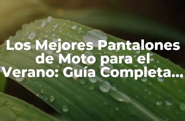Los Mejores Pantalones de Moto para el Verano: Guía Completa para Conductores