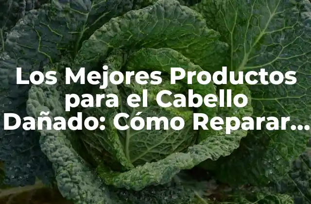 ¿Qué Causa el Daño en el Cabello?