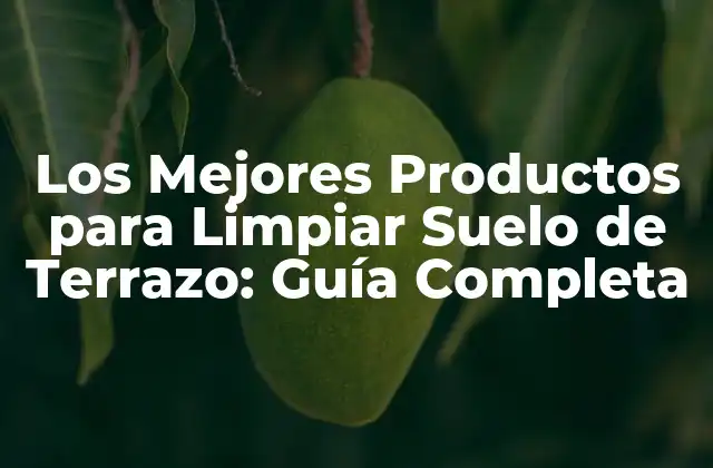 Los Mejores Productos para Limpiar Suelo de Terrazo: Guía Completa