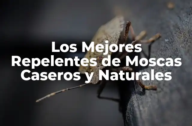 Los Mejores Repelentes de Moscas Caseros y Naturales