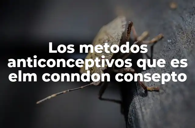 Los Metodos Anticonceptivos que es Elm Conndon Consepto