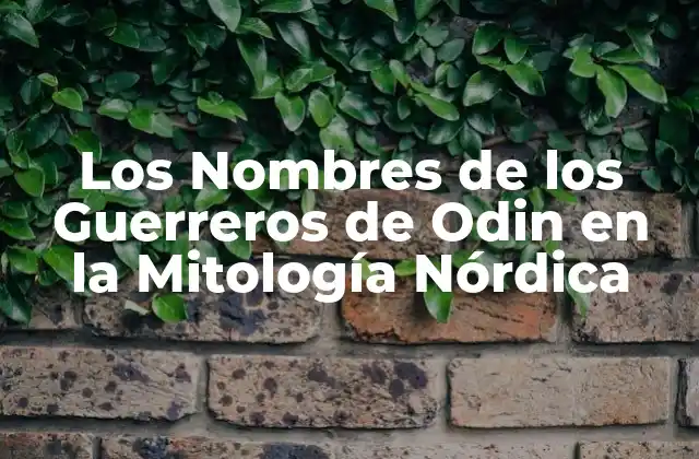 Los Nombres de los Guerreros de Odin en la Mitología Nórdica