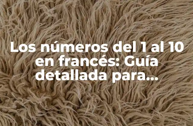 Los Números Del 1 Al 10 en Francés: Guía Detallada para Aprender