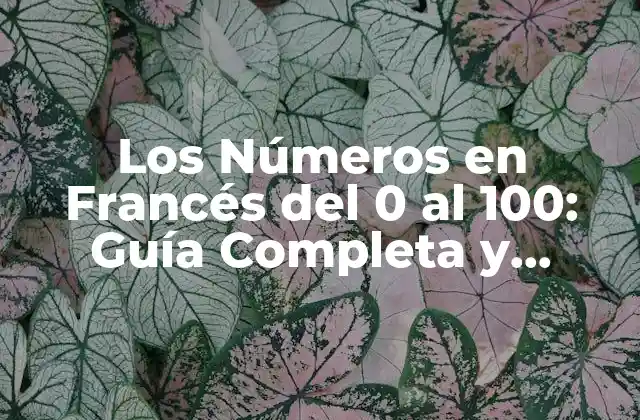 Los Números en Francés Del 0 Al 100: Guía Completa y Detallada