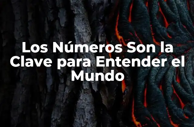 Los Números Son la Clave para Entender el Mundo 2 ¿Qué Son los Números?