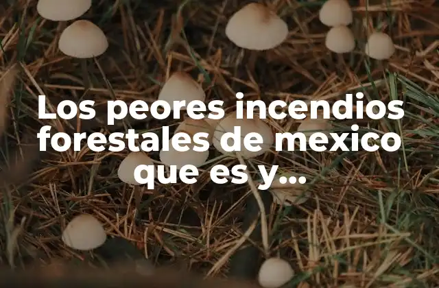 El impacto ecológico de los incendios forestales en México