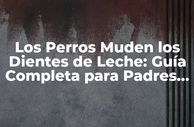 Los Perros Muden los Dientes de Leche: Guía Completa para Padres de Perros