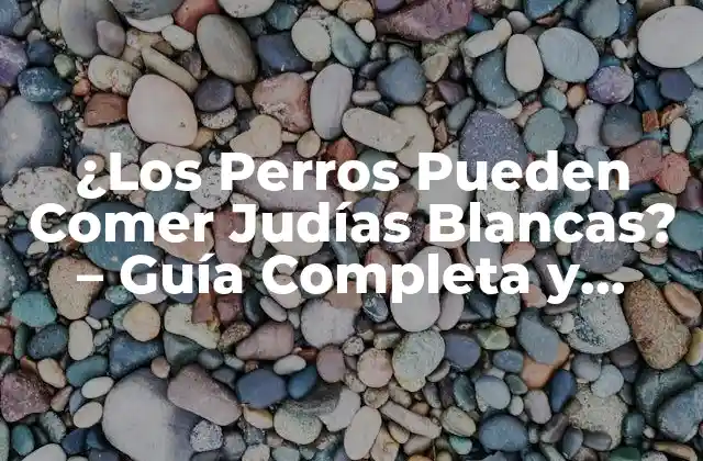 ¿los Perros Pueden Comer Judías Blancas? – Guía Completa y Segura