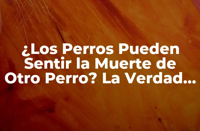 ¿los Perros Pueden Sentir la Muerte de Otro Perro? la Verdad Revelada