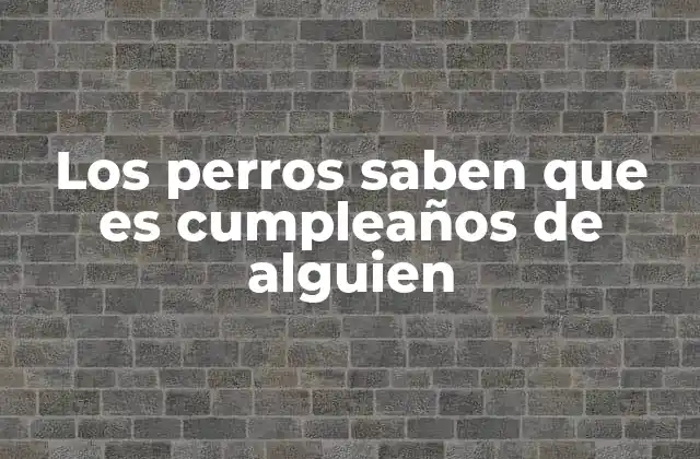 Los Perros Saben que es Cumpleaños de Alguien