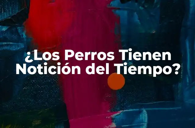La Evolución de la Notición del Tiempo en Perros