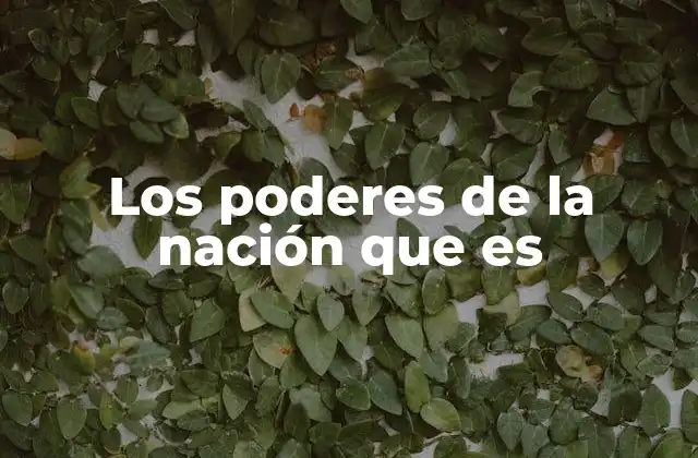 Los Poderes de la Nación que es