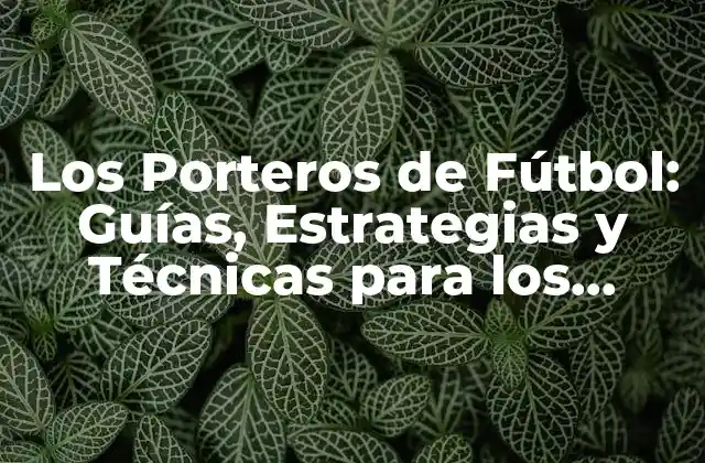 Los Porteros de Fútbol: Guías, Estrategias y Técnicas para los Arqueros