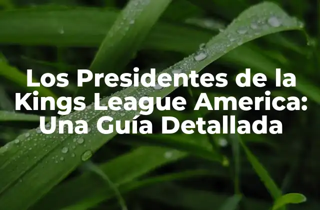 Los Presidentes de la Kings League America: una Guía Detallada