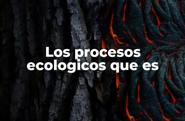 Los Procesos Ecologicos que es