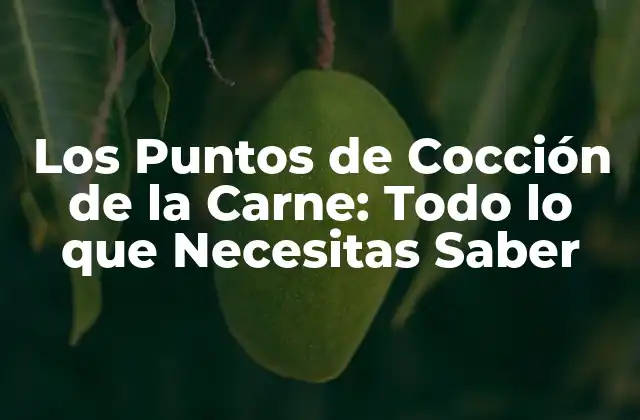 Los Puntos de Cocción de la Carne: Todo Lo que Necesitas Saber