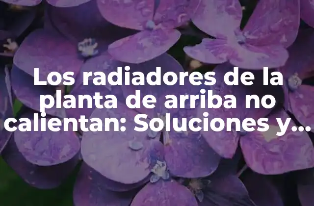 Los Radiadores de la Planta de Arriba No Calientan: Soluciones y Causas Comunes