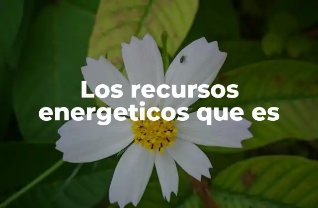 Los Recursos Energeticos que es
