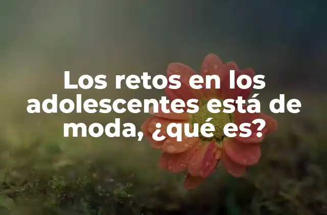 Los Retos en los Adolescentes Está de Moda, ¿qué Es?