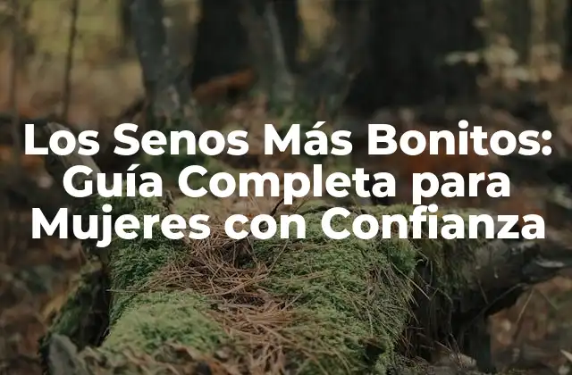 Los Senos Más Bonitos: Guía Completa para Mujeres con Confianza
