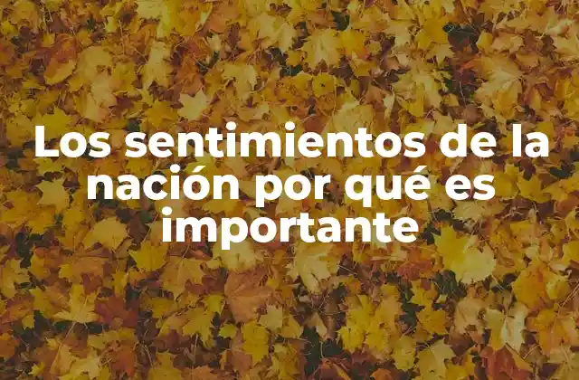 Los Sentimientos de la Nación por Qué es Importante