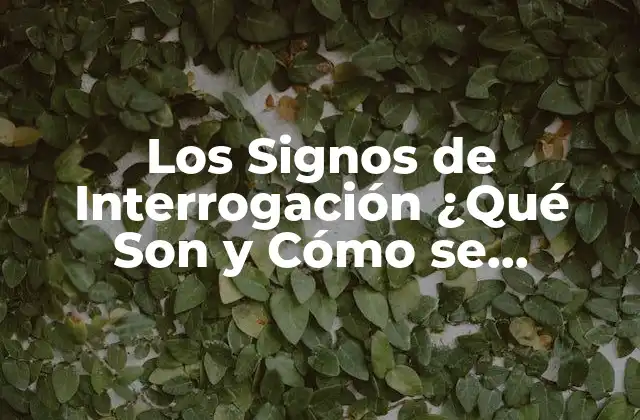 Los Signos de Interrogación ¿qué Son y Cómo Se Utilizan?