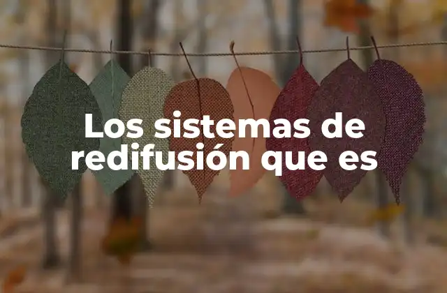 Los Sistemas de Redifusión que es