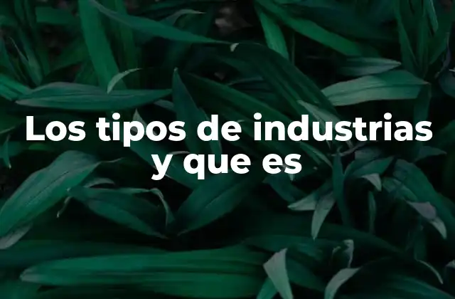 Los Tipos de Industrias y que es