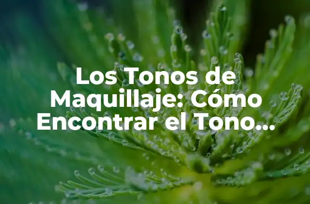 Los Tonos de Maquillaje: Cómo Encontrar el Tono Perfecto para Tu Piel