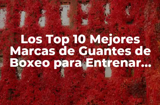 Los Top 10 Mejores Marcas de Guantes de Boxeo para Entrenar con Éxito