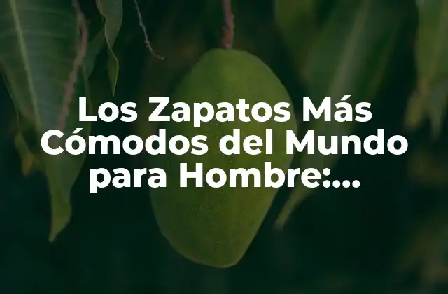 Los Zapatos Más Cómodos Del Mundo para Hombre: Descubre Tus Opciones Ideales